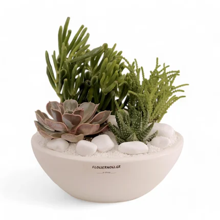 Σύνθεση με παχύφυτα σε λευκό λεκανάκι στρογγυλό.